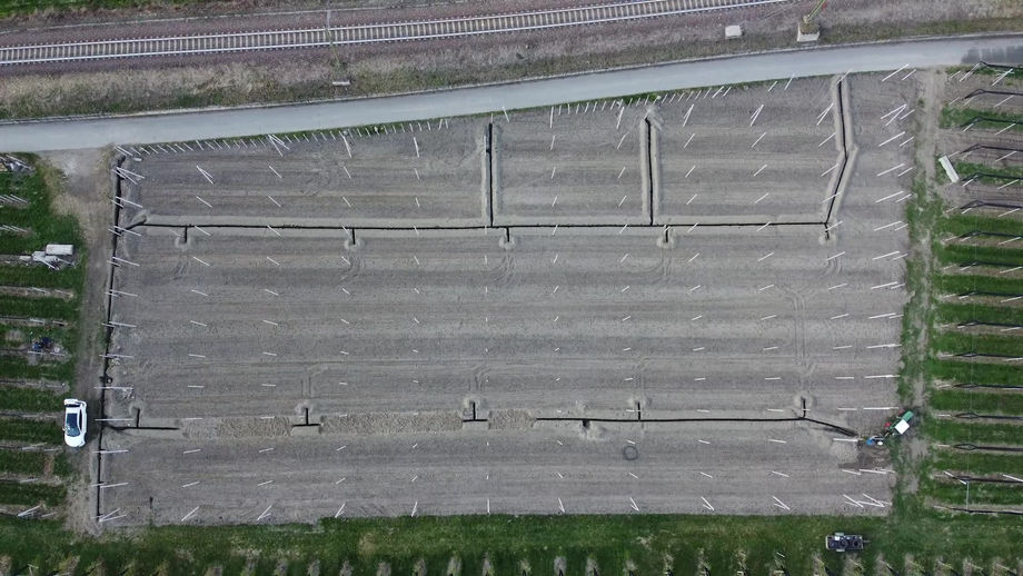 Walter Rass - Neuanlage